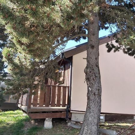 chalet de l ours Bolquere Pyrenees 2000 Extérieur photo