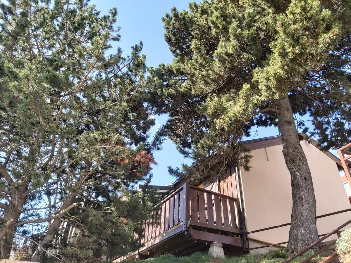 chalet de l ours Bolquere Pyrenees 2000 Extérieur photo